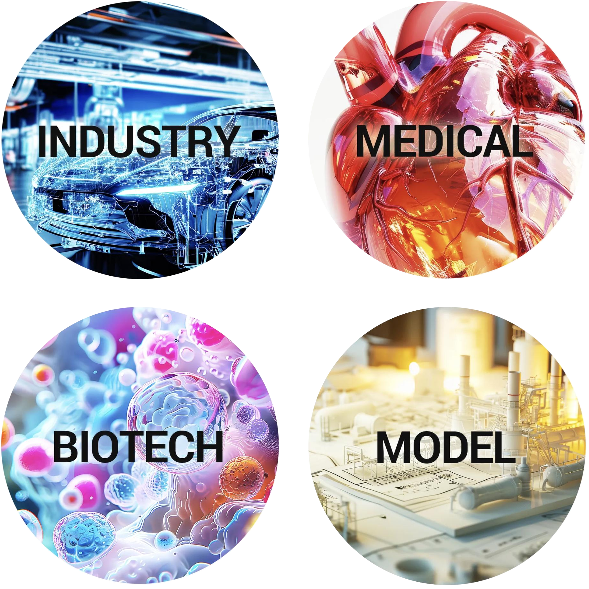 INDUSTRY / MEDICAL / BIOTECH / MODEL